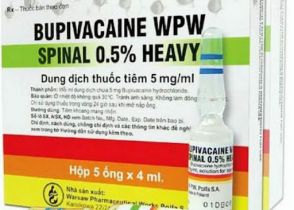 BUPIVACAINE WPW SPINAL 0,5% HEAVY