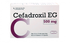 CEFADROXIL EG 500 mg