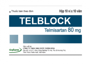 TELBLOCK 80