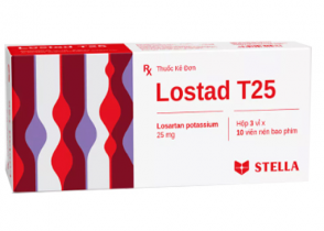 LOSTAD T25
