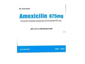 AMOXICILLIN 875 mg